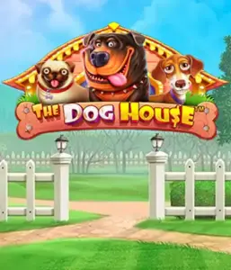 1728907466_the_dog_house-257x300.webp