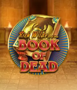 Embark on the thrilling world of Book of Dead Slot by Play'n GO, presenting vivid graphics of Rich Wilde’s adventurous journey through ancient Egyptian tombs and artifacts. Discover lost riches with exciting mechanics like free spins, expanding icons, and a gamble option. Ideal for those seeking adventure with a desire for exciting finds.